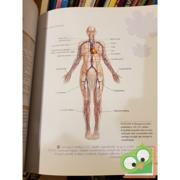 Shelley Keating, Stephen Bayliss, Ela Bayliss, Pamela Allardice: Masszázs és aromaterápia ( readers digest )