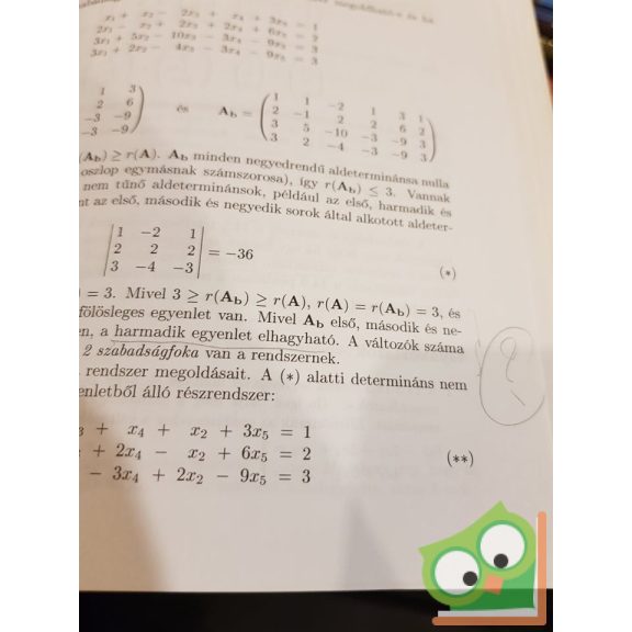 Knut Sydsaeter, Peter I. Hammond: Matematika közgazdászoknak