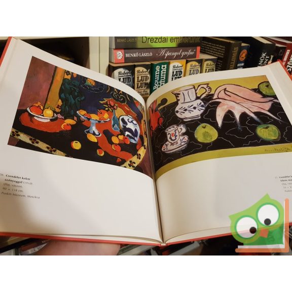 Hollósi Nikolett (szerk.): Matisse (Világhíres festők 13.)