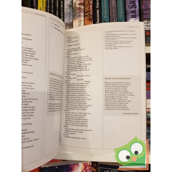 William Shakespeare: Hamlet (Matúra klasszikusok Hamlet)