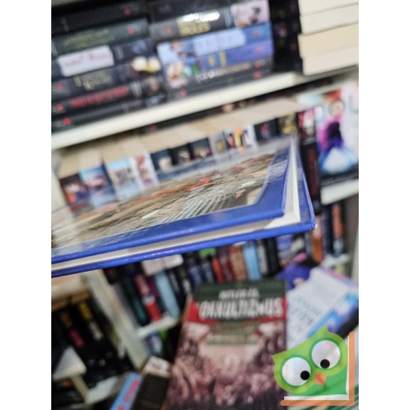 Mattenheim Gréta: Mátyás és a Hunyadiak (100 állomás - 100 kaland)