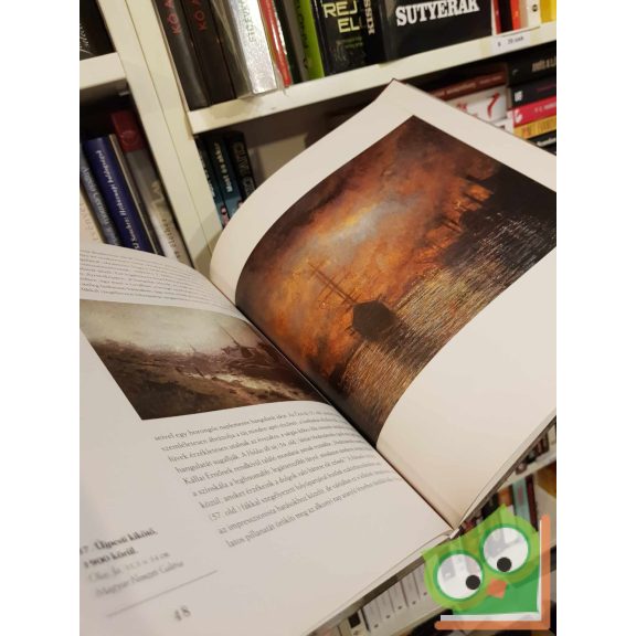 Bakó Zsuzsanna: Mednyánszky László (A magyar festészet mesterei 15.)