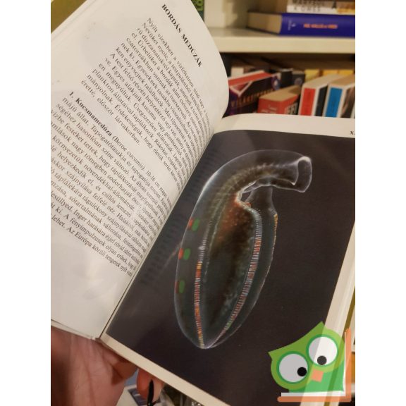 Bába Károly: Medúzák, zsákállatok (Búvár zsebkönyv) (nagyon ritka)