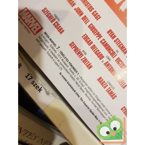 Mega Marvel 7. Tökéletes Pókember 1