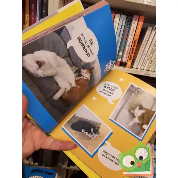 Megbolondult a macskám! - Have FUN