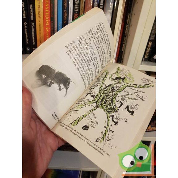 Vicze Ernő: A méhész is szakmunkás - Méhészek könyve