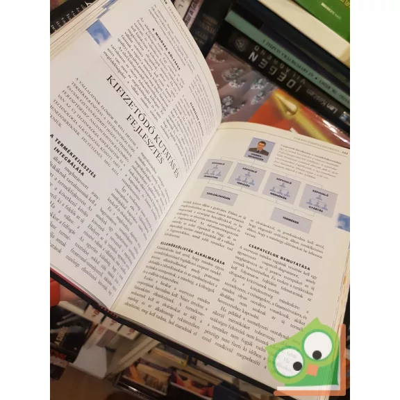 Robert Heller: Menedzserek kézikönyve