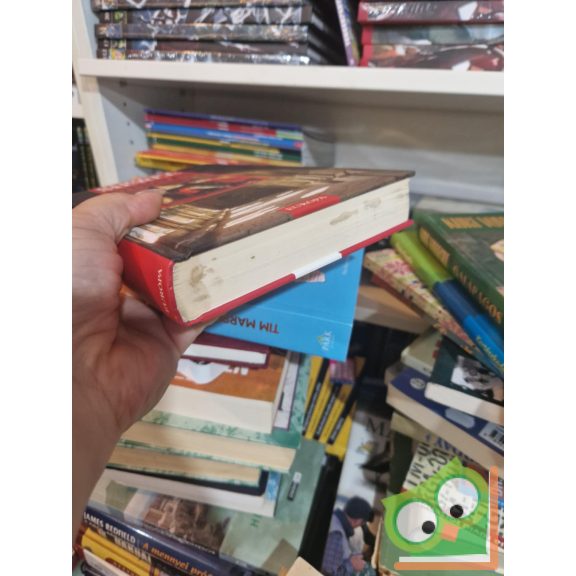 Robert Merle: Pallos ​és szerelem (Francia história 13.)