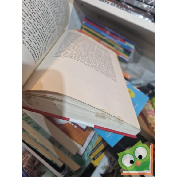 Robert Merle: Pallos ​és szerelem (Francia história 13.)