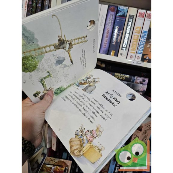 Domitille Héron - Jean-Olivier Héron: Mese az egérlyukról