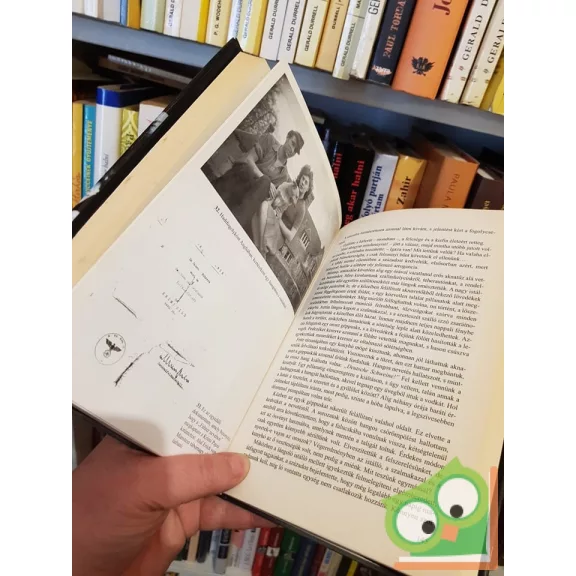 Henry Metelmann: A pokolba Hitlerért   (Ritka!)