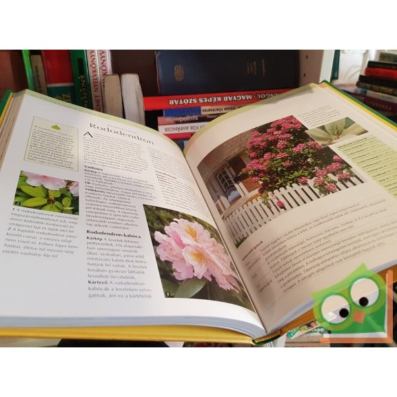 Michael Ernst: Mi a baj a növényemmel?