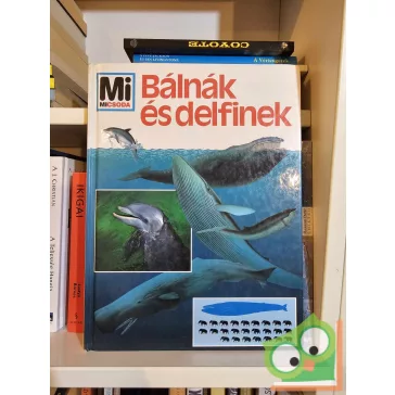 Petra Deimer: Bálnák és delfinek (Mi Micsoda 1.)
