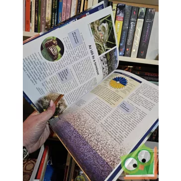 Erich Übelacker: Az idő (Mi Micsoda 13.)