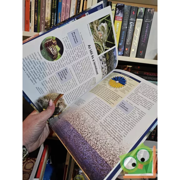 Erich Übelacker: Az idő (Mi Micsoda 13.)