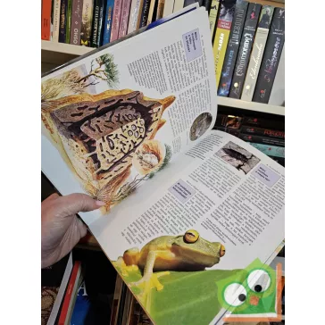   Vitus B. Dröscher: Ahogy az állatok látnak, hallanak és éreznek (Mi Micsoda 2.)