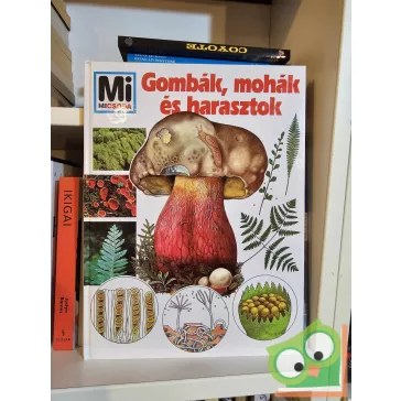   Andreas Zeugner: Gombák, mohák és harasztok (Mi Micsoda 25.)