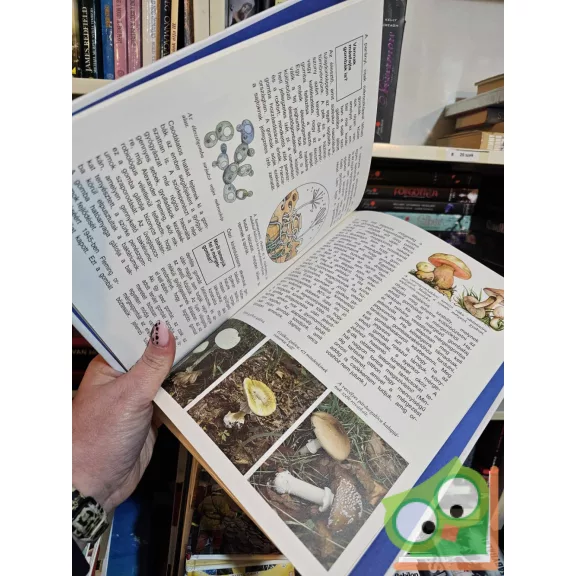 Andreas Zeugner: Gombák, mohák és harasztok (Mi Micsoda 25.)