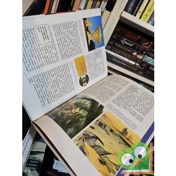   Erich Übelacker: Otthonunk, a világegyetem, a végtelen térben és időbeny (Mi Micsoda 41.)