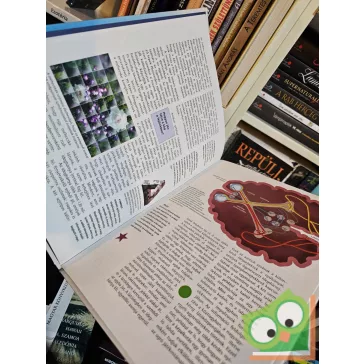 Monika Rößiger: Az emberi agy (Mi Micsoda 64.)