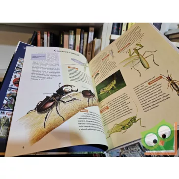 Sabine Steghaus-Kovac: Rovarok (Mi Micsoda 82.)