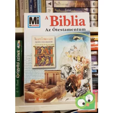   Reimar Gilsenbach: A Biblia - az ótestamentum (Mi micsoda 55.)