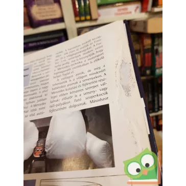   Harry Niemann, Susanne Hogl, Peter Aldenrath: A Mercedes-sztori (Mi micsoda Business) (ritka)