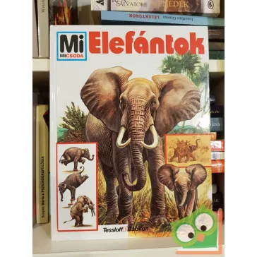 Ulrich Sedlag: Elefántok (Mi micsoda 17. )