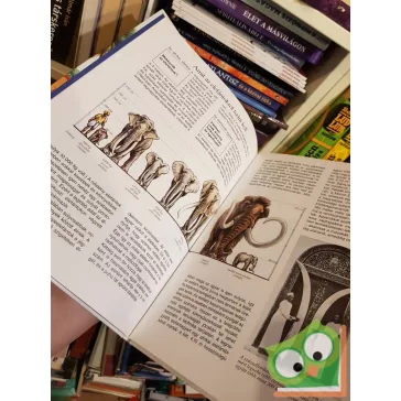 Ulrich Sedlag: Elefántok (Mi micsoda 17. )