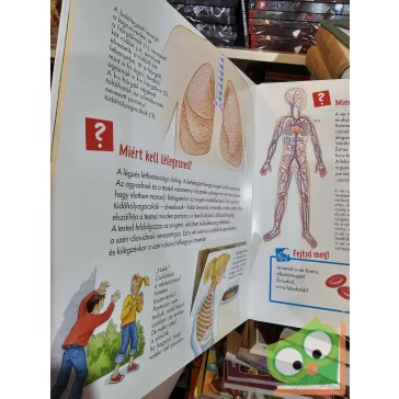 Sabine Stauber: Az emberi test (Mi micsoda Junior 1. kötet)