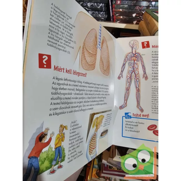 Sabine Stauber: Az emberi test (Mi micsoda Junior 1. kötet)