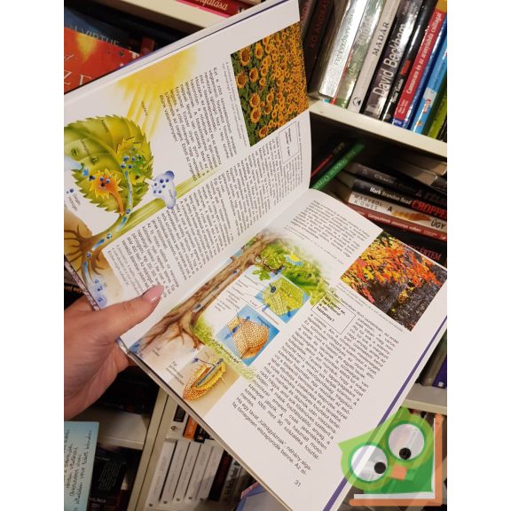 Rainer Crummenerl: A levegő és a víz (Mi Micsoda sorozat 54.)