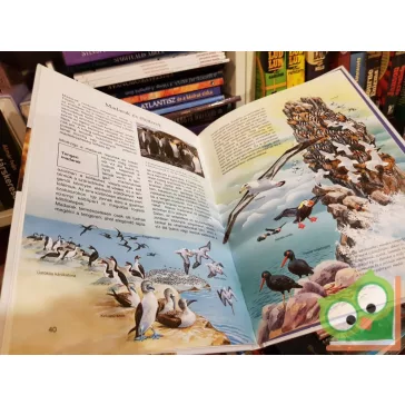 Heinrich Hoerschelmann: Madarak (Mi micsoda 52. )