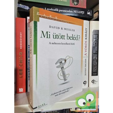   David B. Wexler: Mi ütött beléd? - A nehezen kezelhető férfi (Hétköznapi pszichológia)