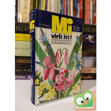 D. Aichele, M. Golte-Bechtle: Mi virít itt?