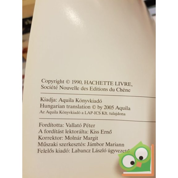 Pierluigi de Vecchi: Michelangelo