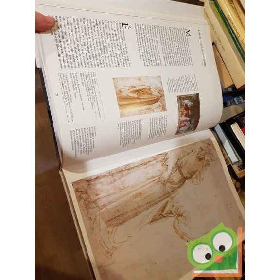 Pierluigi de Vecchi: Michelangelo