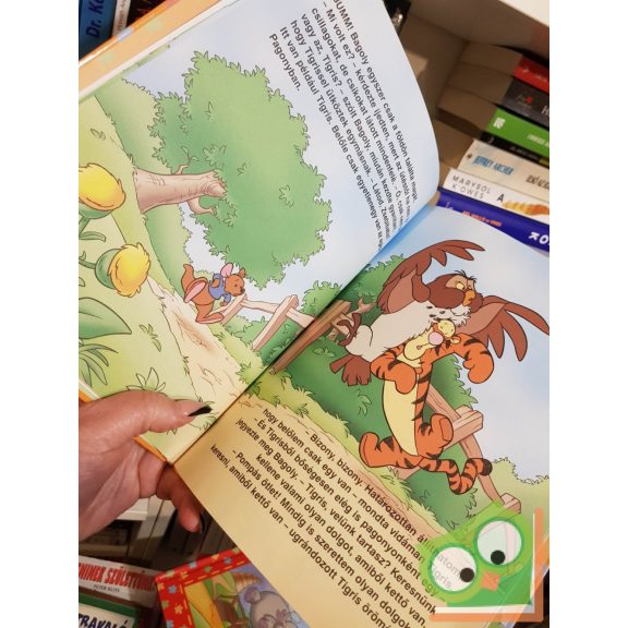 Ysenda Maxtone-Graham: Számtantúra (Walt Disney - Micimackó könyvklub)