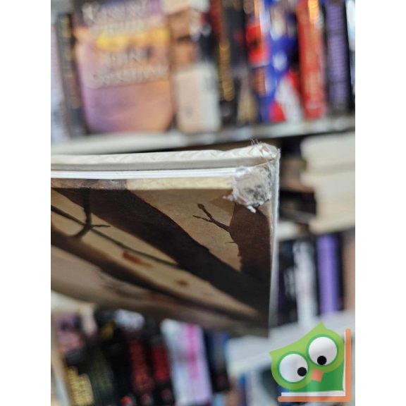 Brigitte Luciani - Eve Tharlet: Micsoda csapat! (Borz úr és Róka asszony 3.) (ritka)