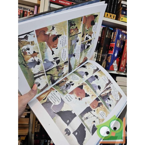 Brigitte Luciani - Eve Tharlet: Micsoda csapat! (Borz úr és Róka asszony 3.) (ritka)