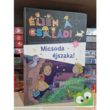   Christine Sagnier, Caroline Hesnard: Micsoda éjszaka! (Éljen a család! 6.)