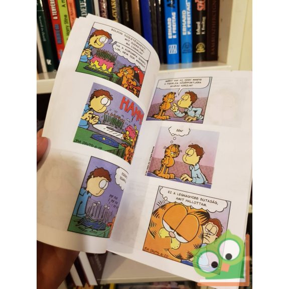 Jim Davis: Zseb-Garfield 67. Miénk itt a tél!