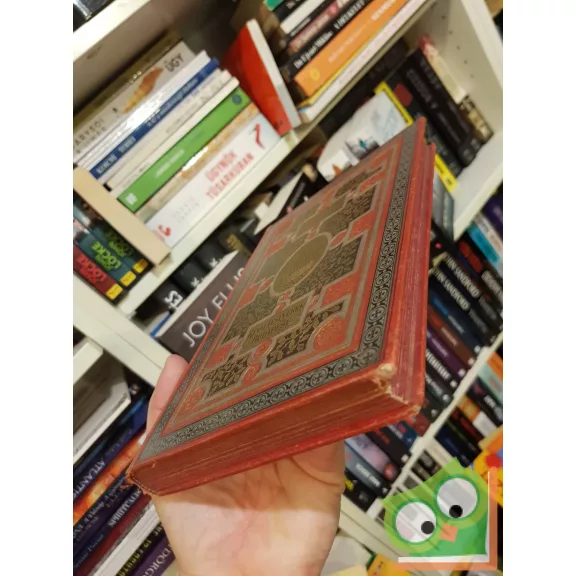 Mikszáth Kálmán: A tekintetes vármegye (Révai testvérek kiadásában, díszkötésben)