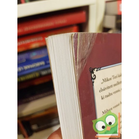 Dávid Ádám: Millennium Expressz – A potyautas (Millennium Expressz 1.)