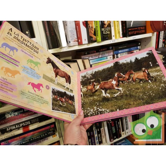 Mindent a lovakról -puzzle könyv