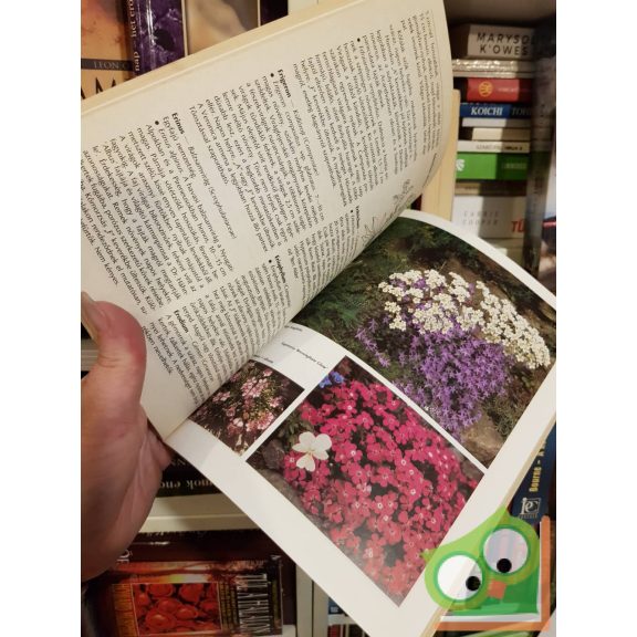 Izsák Béláné: Miniatűr sziklakertek (50 színes fotóval)