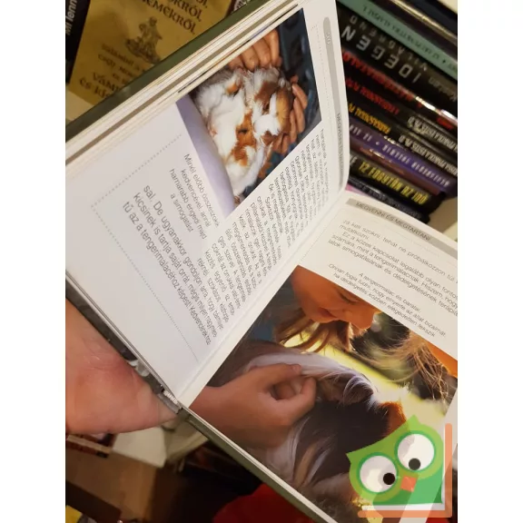 Peter Gurney: Mit kell tudni a tengerimalacokról?