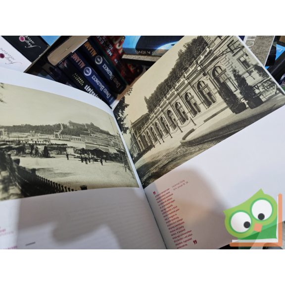 A modern reneszánsz derült idomai - Válogatás Ybl Miklós (1814-1891) épületeiből (ritka)