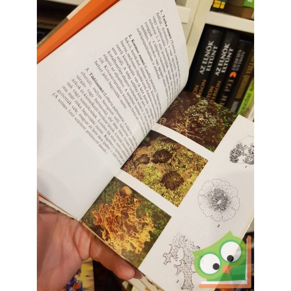 Simon Tibor Mohák, ​zuzmók, harasztok (Búvár zsebkönyvek)