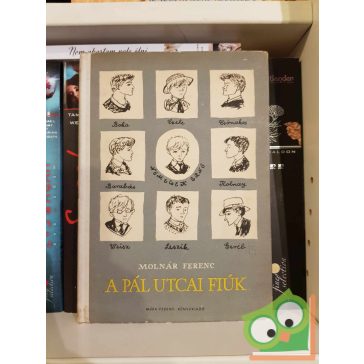 Molnár Ferenc: A Pál utcai fiúk